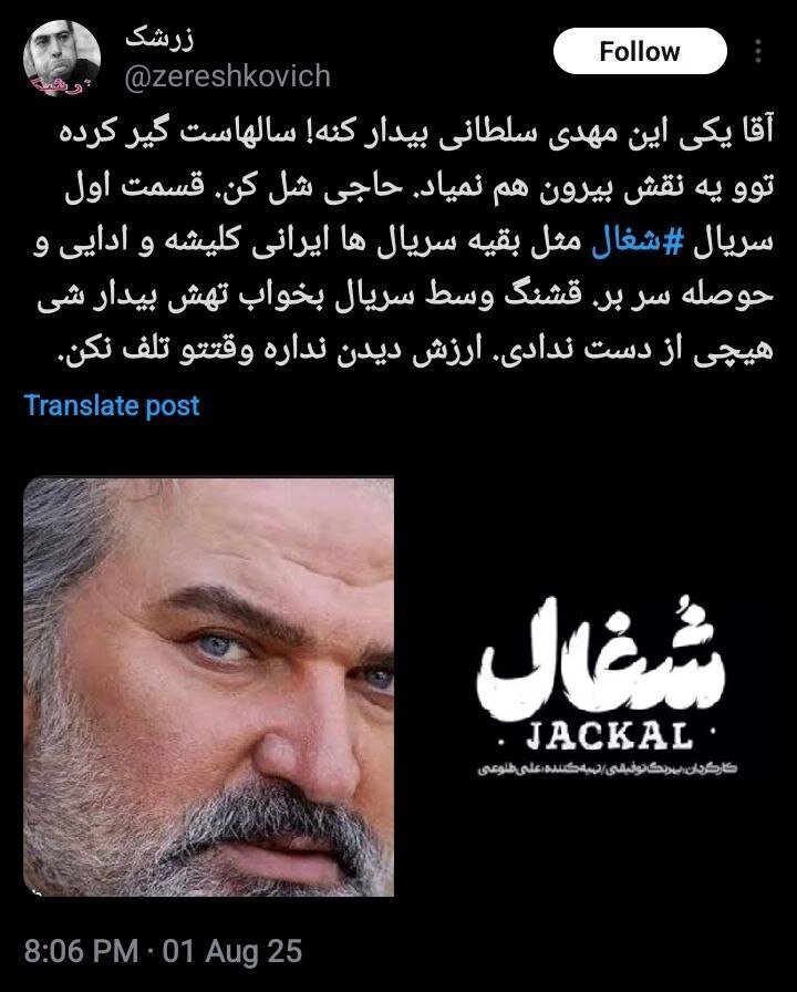 انتقادات از سریال تازه شبکه خانگی؛ «شغال» یا نسخه ایرانی «فاطما گل»؟