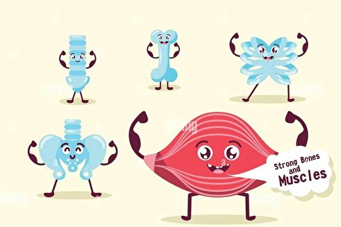 هر اندام دوستدار چه ورزشی است؟ / بررسی علمی تأثیر ورزش بر اندام‌های حیاتی؛ از پیاده‌روی تا خنده و مدیتیشن