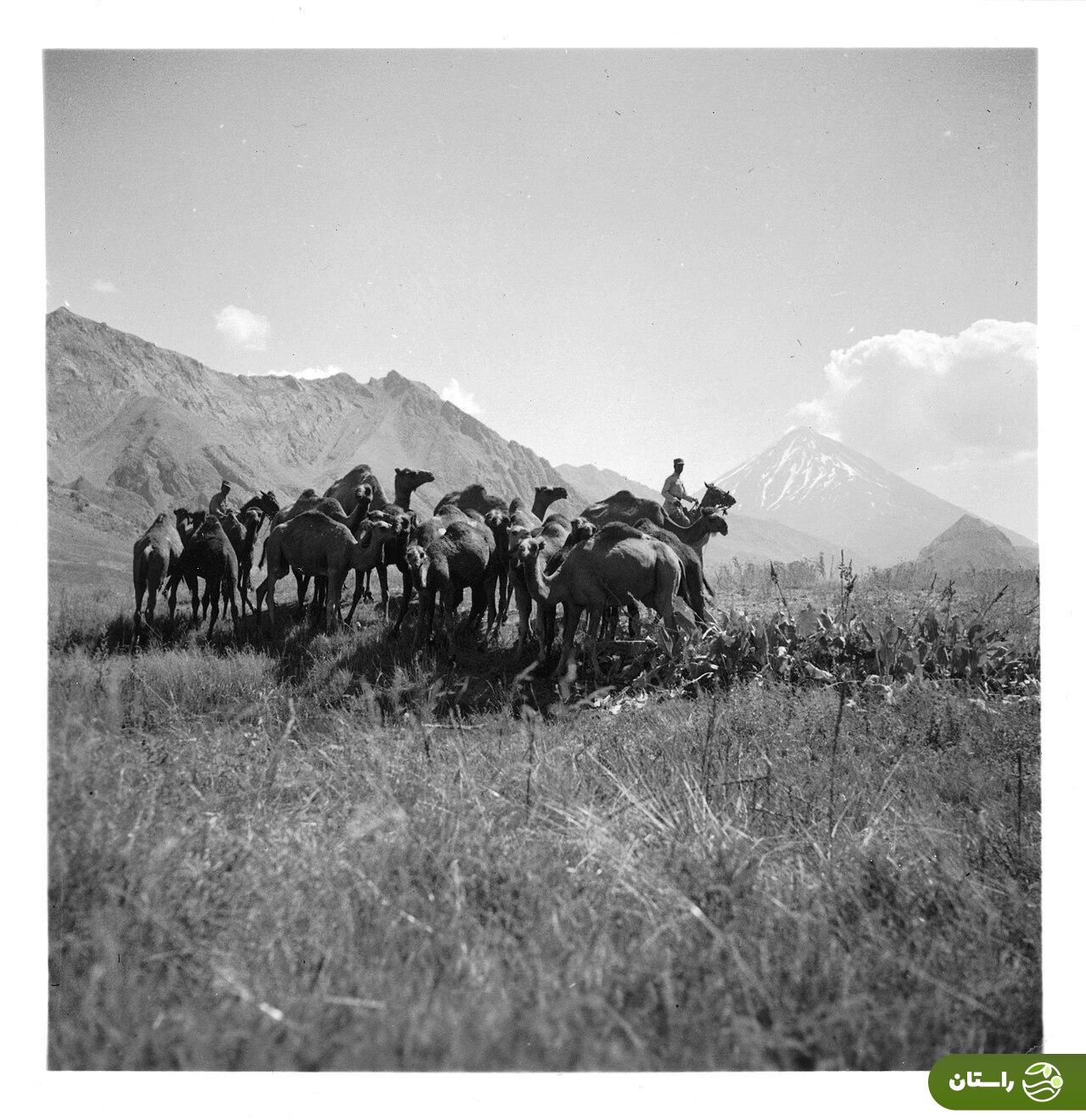 چند عکس زیرخاکی و دیدنی از دماوند؛ تابستان ۱۳۱۵