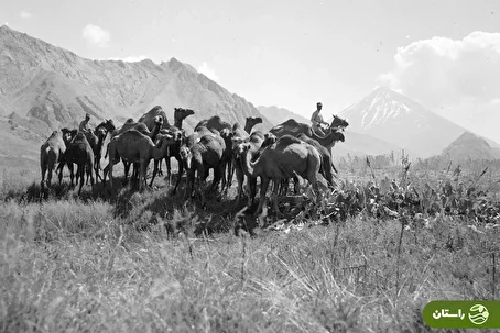 چند عکس زیرخاکی و دیدنی از دماوند؛ تابستان ۱۳۱۵