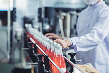 رتبه‌بندی ناسالم‌ترین غذا‌ها برای مغز بر اساس تحقیقات جدید