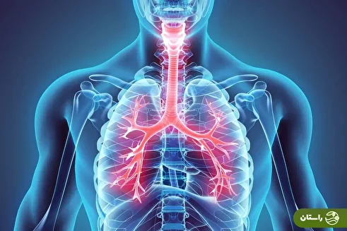 «تنفس از راه مقعد»؛ ایده‌ای علمی که دیگر شوخی نیست، انقلاب است