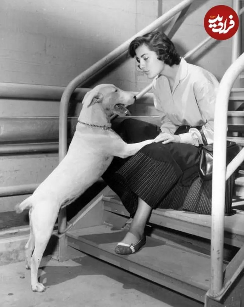 چهره «هند جگرخوار فیلم محمد رسول الله» در ۲۷ سالگی؛ سال ۱۳۳۳