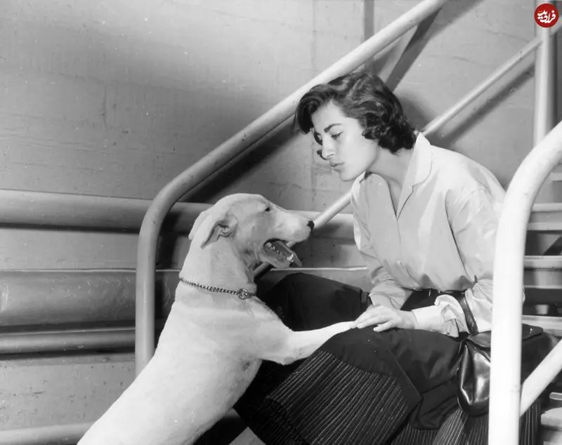 چهره «هند جگرخوار فیلم محمد رسول الله» در ۲۷ سالگی؛ سال ۱۳۳۳