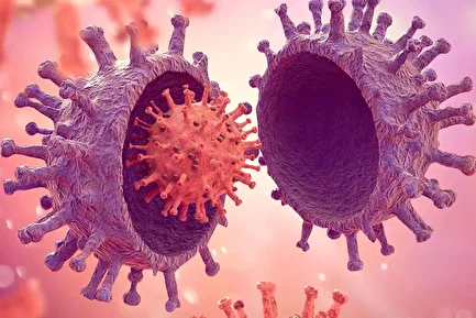 کرونای تیغی چیست و  چه علائم و عوارضی دارد؟