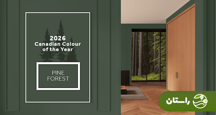 «فیروزهای دگرگونکننده» رنگ سال ۲۰۲۶ دقیقا چه رنگی است؟ «فیروزهای دگرگونکننده» رنگ سال ۲۰۲۶ دقیقا چه رنگی است؟