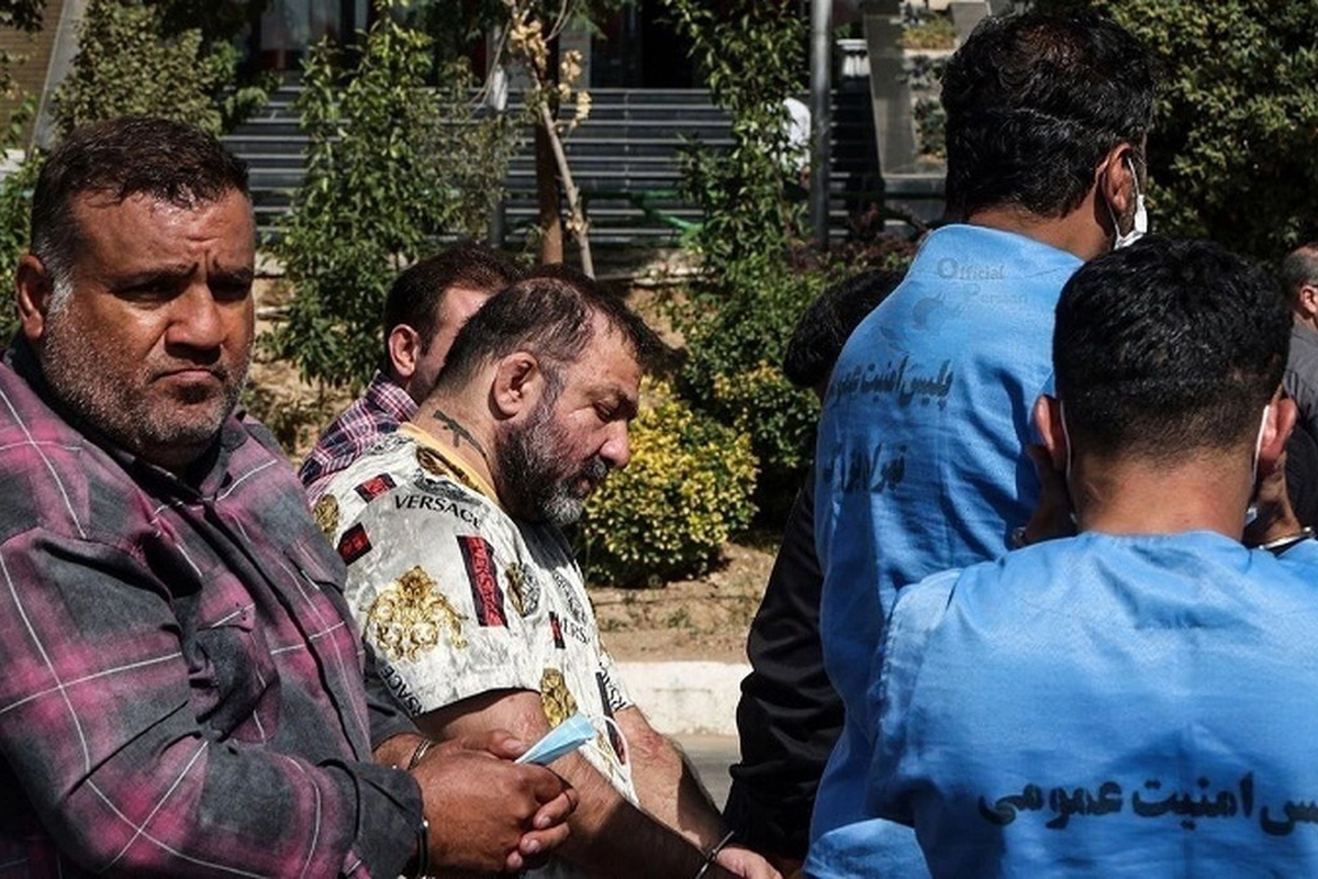 بیوگرافی و حواشی زندگی هانی کرده بیوگرافی و حواشی زندگی هانی کرده