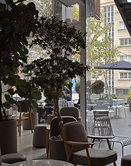 ورود نانسی عجرم به سینمای ایران