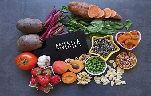 بهترین غذا برای کم خونی؛ معرفی ۸ غذای خون‌ساز و انرژی‌زا
