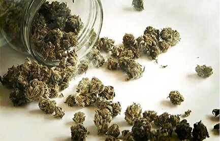 نشانه‌های ظاهری و روانی مصرف گل؛ اگر دوستی این علائم را داشت یعنی گل کشیده!