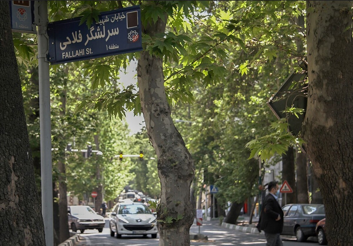 خیابان شهید فلاحی (زعفرانیه) کجاست و به جر «فریبا نادری» چه کسانی در آنجا زندگی میکنند؟!