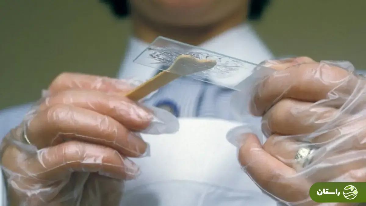 واکسن گارداسیل چیست و بهترین زمان تزریق آن چه وقت است؟ واکسن گارداسیل چیست و بهترین زمان تزریق آن چه وقت است؟