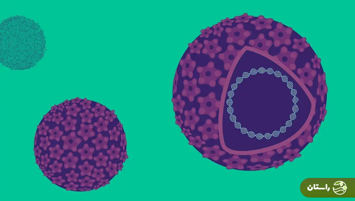 واکسن گارداسیل چیست و بهترین زمان تزریق آن چه وقت است؟ واکسن گارداسیل چیست و بهترین زمان تزریق آن چه وقت است؟