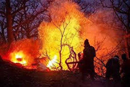 تصاویر توجه‌برانگیز ناسا از محل آتش‌سوزی جنگل الیت