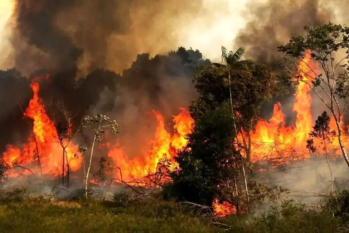 تصاویر توجه‌برانگیز ناسا از محل آتش‌سوزی جنگل الیت
