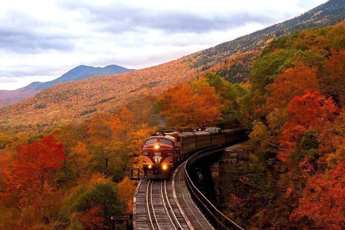 سفر باقطار در جنگل‌های پاییزی