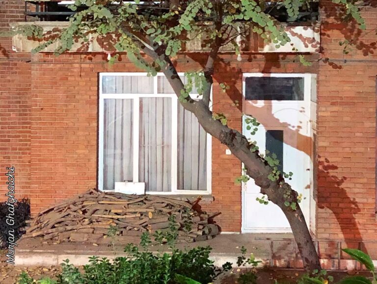 خانه‌ای قدیمی در هفت تیر که مثل یک آغوش، گرم و خواستنی است