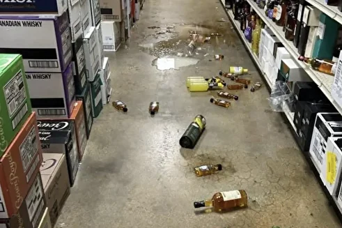 (ویدئو) راکون مست خبرساز شد