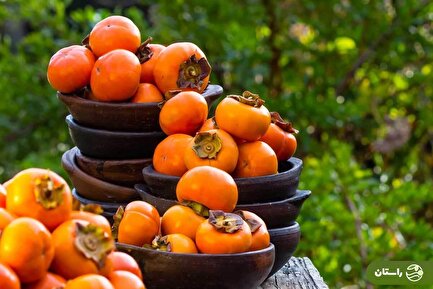 میوه‌ای کوچک با قدرت‌های بزرگ! رازهای سوپرمیوه‌ای به نام خرمالو را بدانید