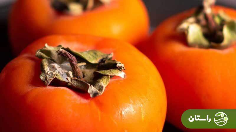 میوهای کوچک با قدرتهای بزرگ! رازهای سوپرمیوهای به نام خرمالو را بدانید میوهای کوچک با قدرتهای بزرگ! رازهای سوپرمیوهای به نام خرمالو را بدانید