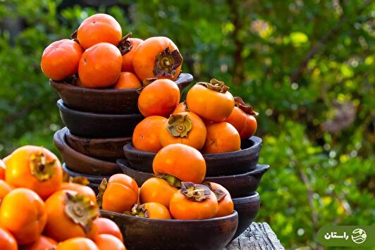 میوه‌ای کوچک با قدرت‌های بزرگ! رازهای سوپرمیوه‌ای به نام خرمالو را بدانید