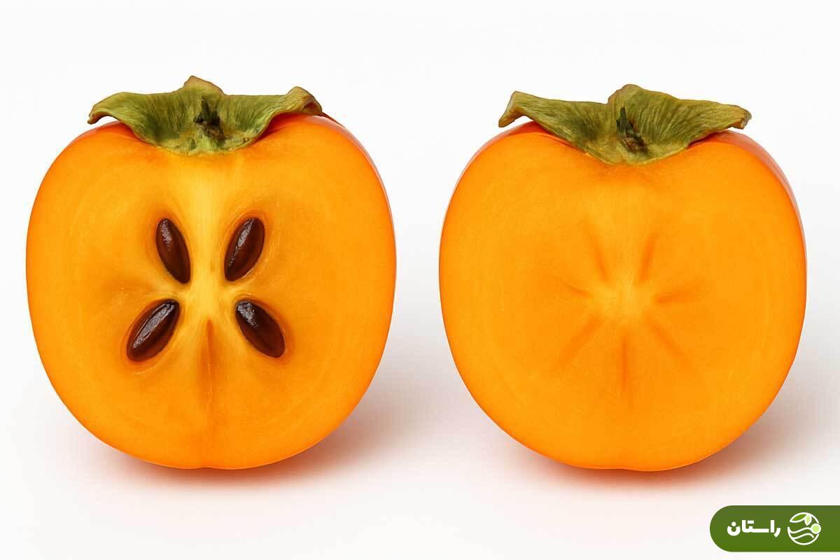 چرا بعضی از خرمالوها هسته دارند و بعضی دیگر ندارند؟