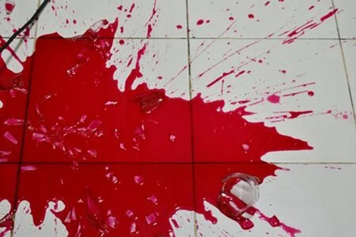 قتل هولناک شوهر با تیشه و چاقو در خواب | جسدش را در حیاط دفن کردم!