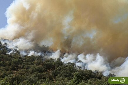 (ویدئو)‌ تصاویری از وضعیت حریق در جنگل‌های روستای الیت مازندران