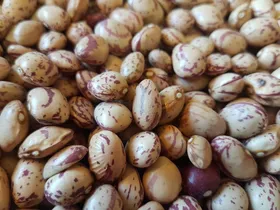 لوبیا را با دلار آمریکا بخرید و با پست به ایران بیاورید ارزان‌تر تمام می‌شود!