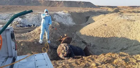 (عکس) بمباران سوله نگهداری اسب در تبریز