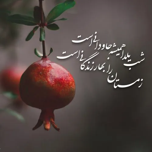 عکس و استوری شب یلدا