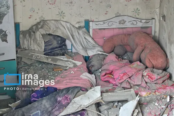 جزئیات آواربرداری در منطقه کوچمشکی زنجان