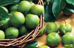 بهترین گوجه‌سبز ایران مال کدام شهر است؟ طرز تهیه خورش جادویی گوجه سبز را یاد بگیرید!