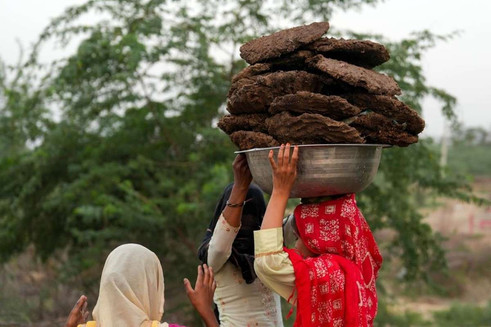 تصاویر | بسته شدن تنگه هرمز و روی آوردن هندی‌ها به سوزاندن فضولات گاو و گوسفند