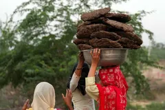 تصاویر | بسته شدن تنگه هرمز و روی آوردن هندی‌ها به سوزاندن فضولات گاو و گوسفند