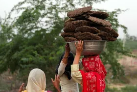 تصاویر | بسته شدن تنگه هرمز و روی آوردن هندی‌ها به سوزاندن فضولات گاو و گوسفند