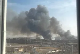 علت دود غلیظ در پرند چیست؟