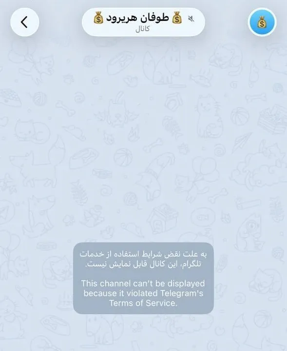 دلار هرات دلار هرات