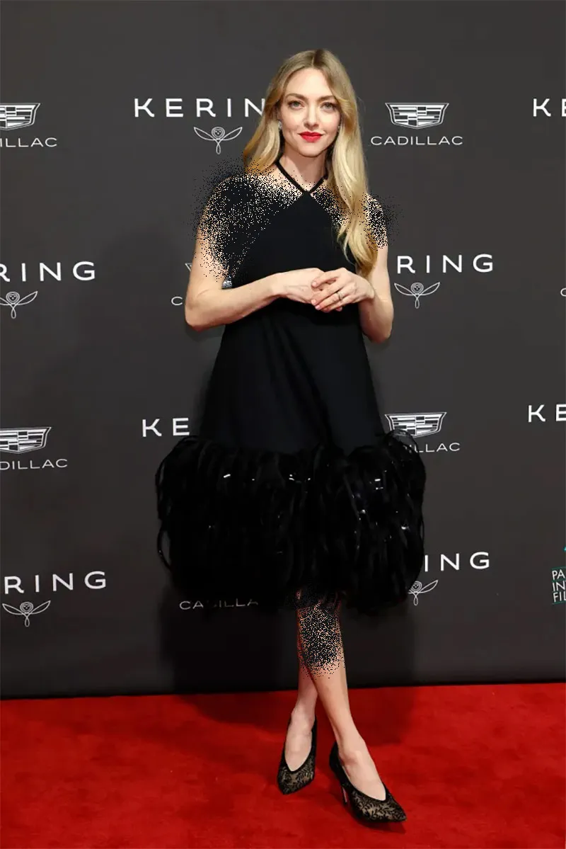 آماندا سایفرد در مراسم اهدای جوایز «پالم اسپرینگز» آماندا سایفرد در مراسم اهدای جوایز «پالم اسپرینگز»