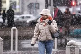 تصاویر جذاب از بارش برف در خیابان‌های شمال تهران