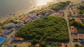 تصاویر | درخت بادام هندی پیرانگی؛ بزرگترین درخت جهان که خودش به تنهایی شبیه باغ است