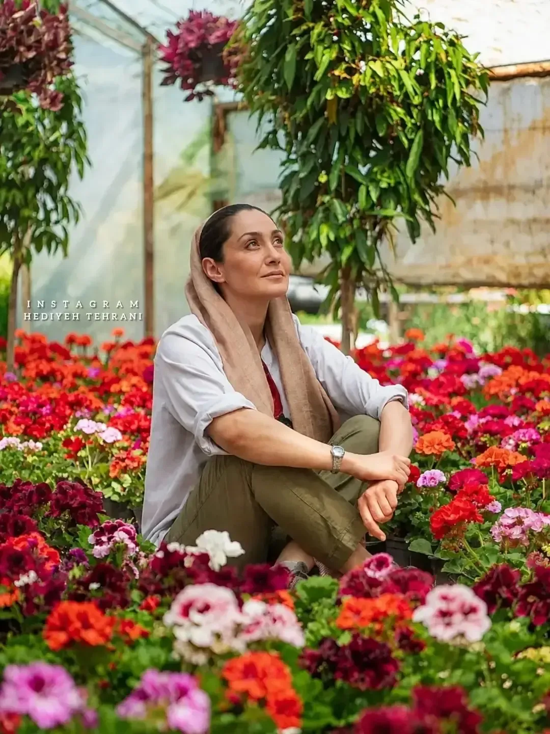هدیه تهرانی در یک گلخانه هدیه تهرانی در یک گلخانه