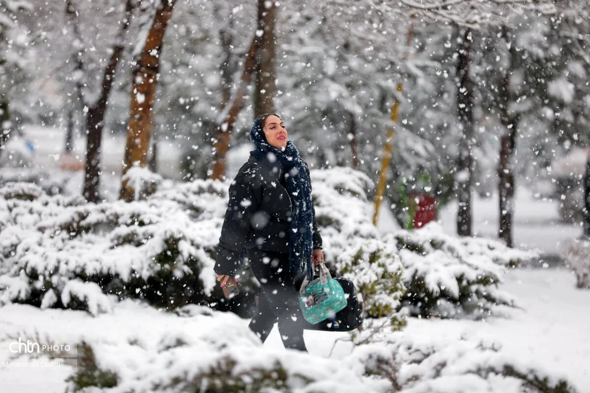 بارش برف اسفندی در اردبیل