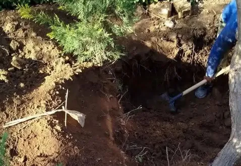  رازگشایی از قتل پنهان بازرگان خارجی در تهران بعد ۴ سال | همسرش می‌دانست کجا دفنش کرده‌اند