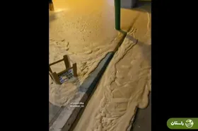 (ویدئو) مایع عجیبی که از زمین در خیابان نشاط اصفهان بیرون زد!