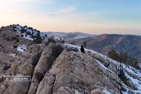 (ویدئو) حمله عقاب به دوربین صداوسیما در خراسان شمالی