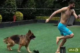 ویدئو | ترسیدن علیرضا بیرانوند از سگ خانگی‌اش و پریدن در آب استخر!