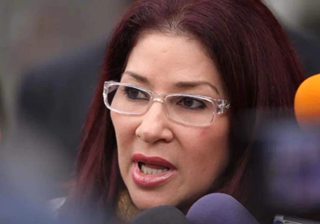 بیوگرافی همسر نیکولاس مادورو