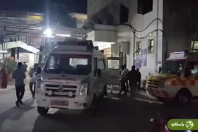 ویدئو | جان باختن یک زن در ازدحام برای اکران فیلم مشهور