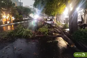 ویدئو |‌ طوفان سهمگین در تهران